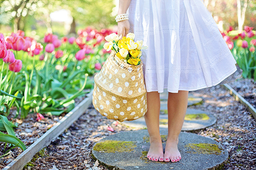 500-barefoot-basket-blooming-blossoming-413707.jpg